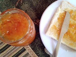 mermelada de naranja thermomix