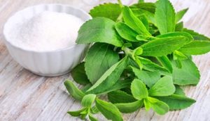 planta de stevia